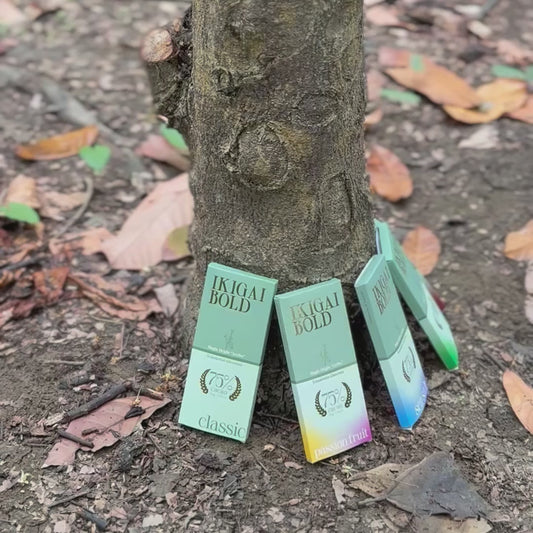 Ikigai Bold Chocolate Sampler 6 Flavor Collection | 75% Ecuadorian Cacao